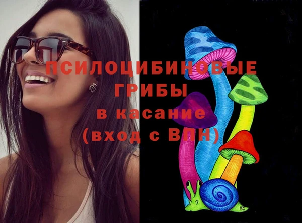 скорость Лагань